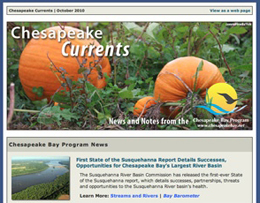 Chesapeake Currents