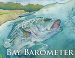 Bay Barometer: Spotlight on Health and Restoration in the Chesapeake Bay and its Watershed 2011-2012
