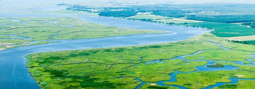 Bay Program welcomes feedback on draft work plans