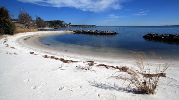 Living Shorelines Protect Beach