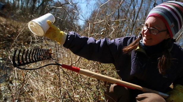 Small Cleanup Makes Big Impact