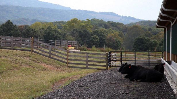 West Virginia Farm Cuts Pollution