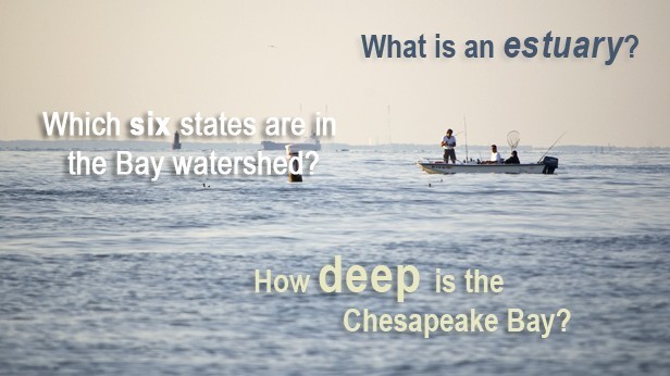 Read our new Chesapeake Bay FAQ