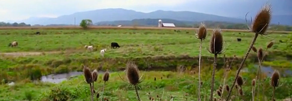 West Virginia Farm Cuts Pollution