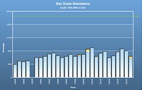 Underwater Bay Grass (SAV) Abundance