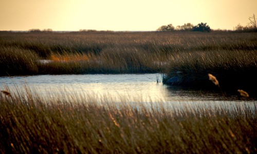 (Chesapeake Bay Program)