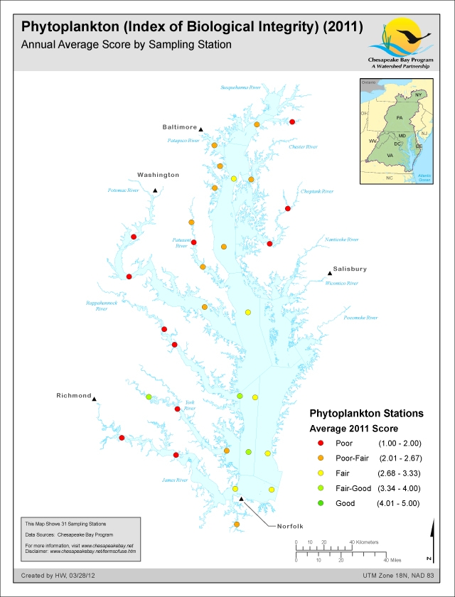 Phytoplankton (Index of Biological Integrity) (2011) Annual Average Score by Sampling Station