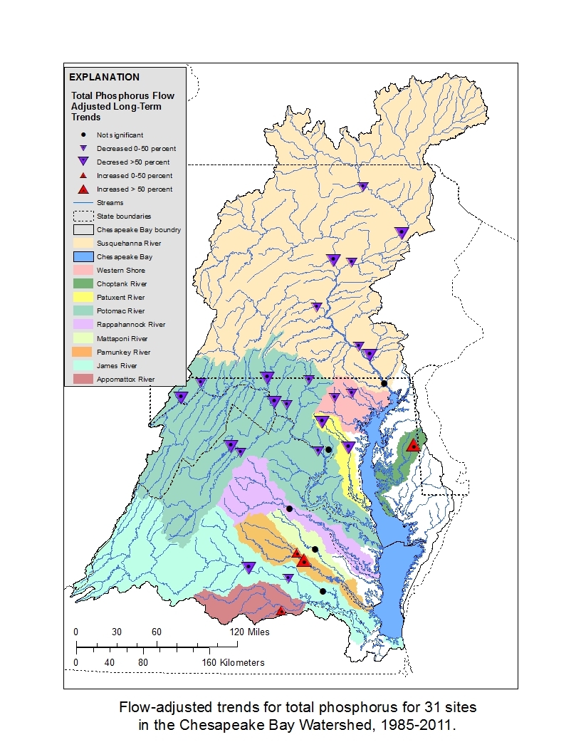 Chesapeake Bay watershed phosphorus long-term flow-adjusted concentration trends 1985 - 2011
