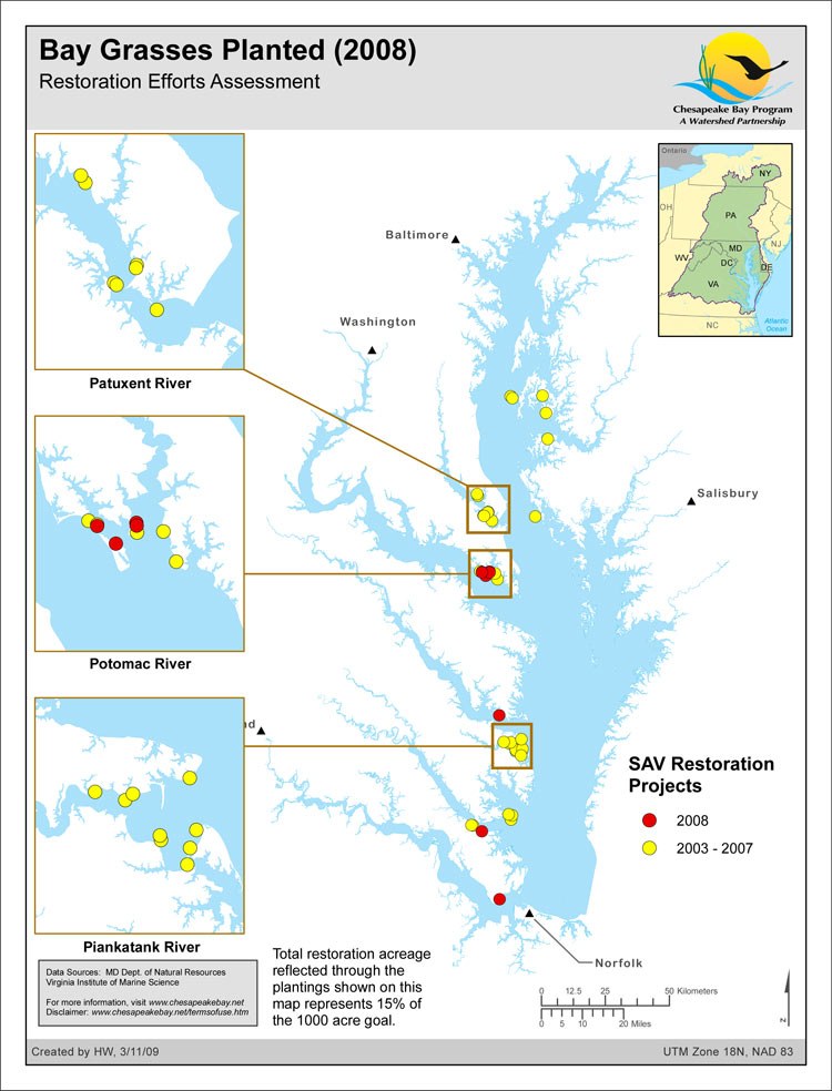 Bay Grasses Planted (2008)