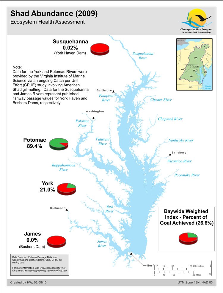 Shad Abundance (2009)