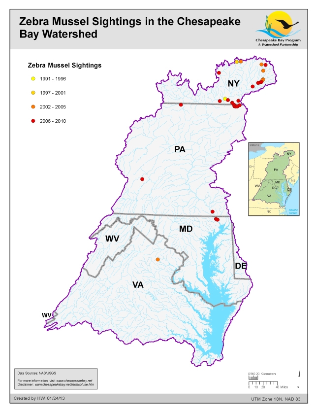 Map: Zebra Mussel Sightings in the Chesapeake Bay Watershed