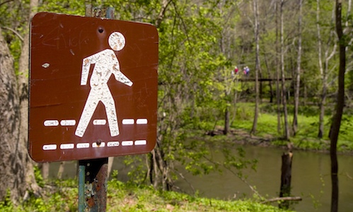 Visit the Chesapeake