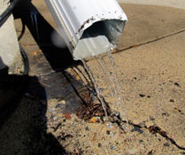 Photo Credit: daryl_mitchell / Flickr