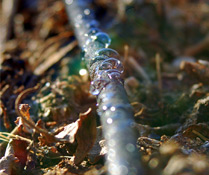 Photo Credit: Joby Elliott/Flickr