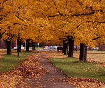 Photo Credit: Chesapeake Bay Program