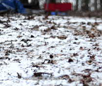 Photo Credit: eddie.welker/Flickr