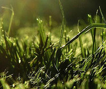 Photo Credit: Max Wheeler/Flickr