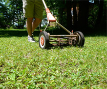 Photo Credit: SarahMcGowan/Flickr