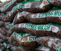 Photo Credit: Mike Hiatt/Flickr