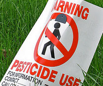 Photo Credit: Michelle Tribe/Flickr