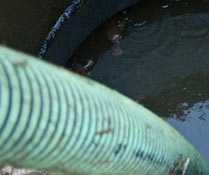 Photo Credit: WindRanch/Flickr