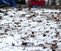 Photo Credit: eddie.welker/Flickr