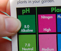 Photo Credit: Team Tanenbaum/Flickr