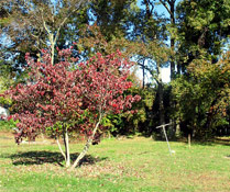 Photo Credit: ds4832/Flickr