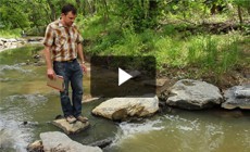 From the Field: Restoring Washington, D.C.‘s urban streams