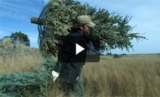 From the Field: Building bird nesting habitat on Poplar Island, Maryland