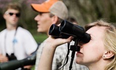 Going Green at Gunston School