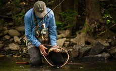 Bringing Back the Little J