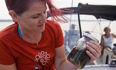 From the Field: Trash Trawl hauls microplastics from Bay waters
