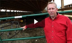 Restoration Spotlight: Farm’s conservation practices cut pollution at its source
