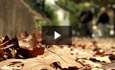 Chesapeake Unscripted: What is a Watershed? (Alexandria, Va.)