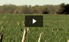 The Maryland CREP Partnership