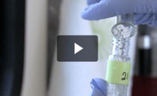 Bay 101: Dissolved Oxygen