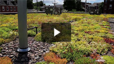 From the Field: Capturing stormwater naturally in Lancaster, Pennsylvania