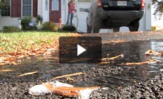 Take Action: Save Water! Save Money!