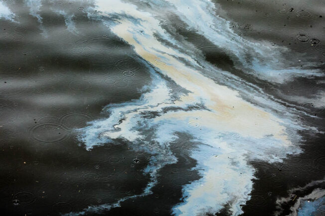 Oil in the water shows murky water.