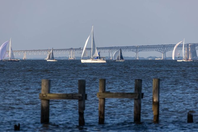 Chesapeake Bay dead zone "near average" in 2024