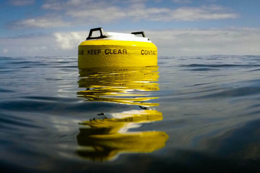 The Chesapeake Bay sees its smallest dead zone in 39 years