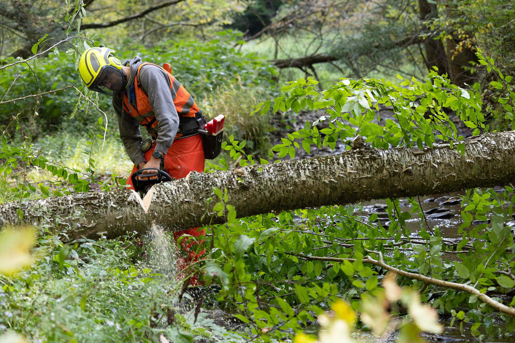 The decades-long effort to restore brook trout habitat in the Kettle ...