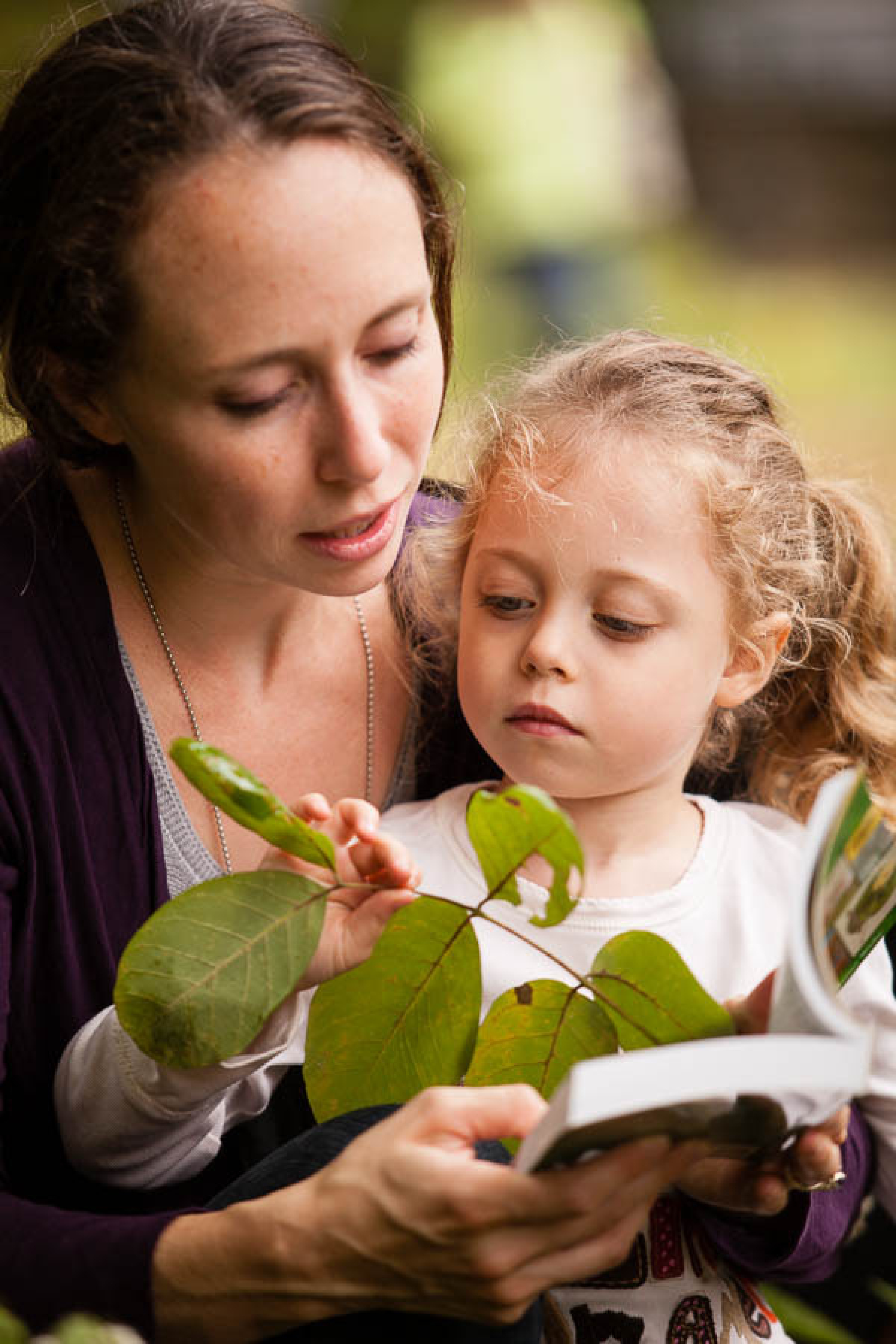 Natural Lesson Hands-on lessons about the natural world