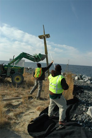 Workers struggle with equipment on the shore of Poplar Island.