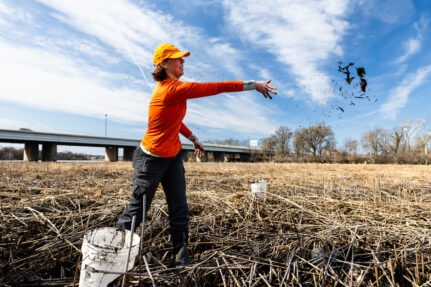 A woman with arm extended releases a clump of mud above a wide flat wetland on an urban river.