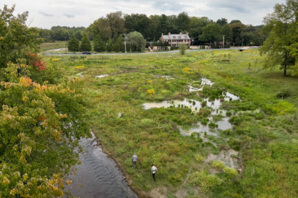 Glimpse of the Little Conestoga Creek as it flows through a wetland and field area.