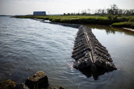 A QuickReef sill in the water protecting a marsh.