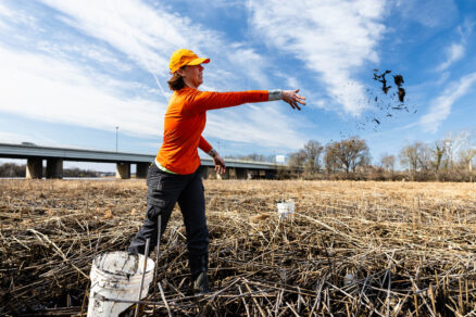 A woman with arm extended releases a clump of mud above a wide flat wetland on an urban river.