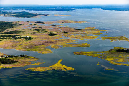 Islands of salt marsh wetlands surround Guinea Marsh Wildlife Management Area on the edge of Mobjack Bay.